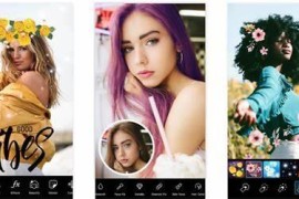 Pixels v1.40 安卓绿化版