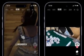 皮皮虾/皮皮虾Pro v5.0.0/v3.8.0 iOS绿化版-插件更新