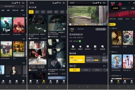 可可影视 v3.3.9 安卓绿化版