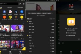 油管下载器Snaptube v7.46.0.74650110 安卓绿化版