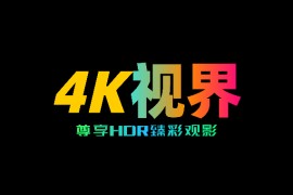 4K视界 v5.3.4 TV绿化版