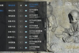 新酷酒直播 v1.7.3.9 TV版