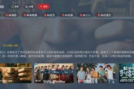乐享4K v2025.04.07 TV版