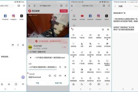 Soul浏览器 v1.4.79 安卓绿化版
