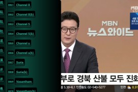 猫TV_影视238 v20240615 TV版