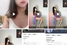 快手 抖音 夹心饼干夹心  借个充电器、留声唱片机 紫总    付费定制   情趣内衣 丁字裤福利 新增8V