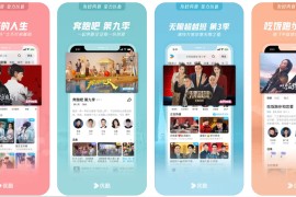 优酷 v11.1.37 iOS绿化版