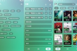 OK影视 v3.4.3/v3.3.9 安卓内置源版