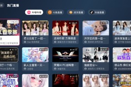 Simple Live TV v1.2.5 TV版