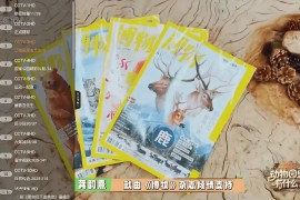 翡翠TV v1.0.3 TV版