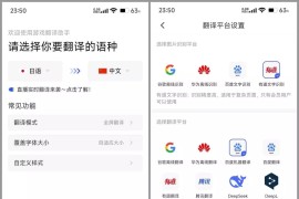 游戏翻译助手 v8.8.20 安卓绿化版