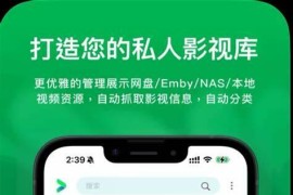 VidHub v2.0.2 iOS绿化版