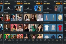 Face Over v100.0 安卓绿化版