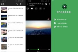 XPlayer v2.4.8.1 安卓绿化版