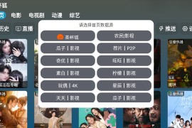 A优影仓 yiyo TV内置版