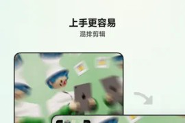 Blurrr v2.0.5-1 安卓绿化版