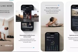 GOWOD v5.1.3 iOS绿化版