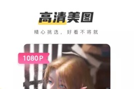 元气桌面壁纸 v3.53.4336/2.99.1893 安卓绿化版