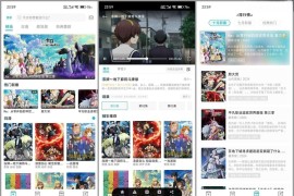 Lanerc v1.0.3(17) 安卓绿化版