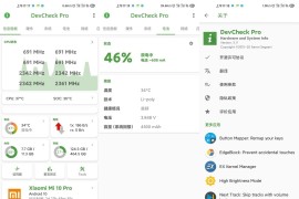 DevCheck v5.46 安卓绿化版