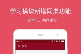 西语助手 v25.10.2(30720) 安卓绿化版