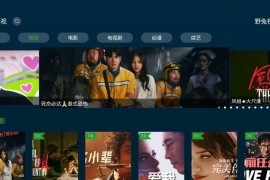 野兔视频 v2.5.4 TV/安卓绿化版