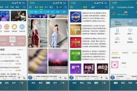 DJ音乐盒 v4.0.7 车机绿化版