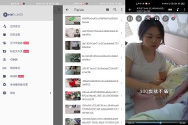 MX Player MX播放器 v1.93.4 安卓绿化版