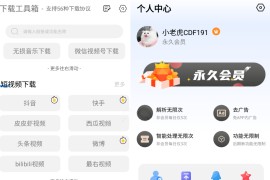 下载工具箱 v4.0.2 安卓绿化版