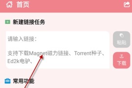 柚子下载 v1.1.0 安卓绿化版