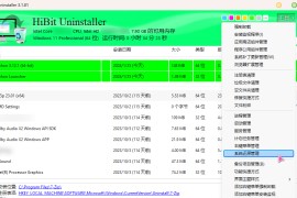 功能强大的软件卸载工具HiBit Uninstaller v3.1.90 单文件版，支持win Vista-11