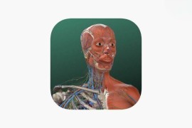 IOS圈X规则|万康人体解剖-3dbody解剖