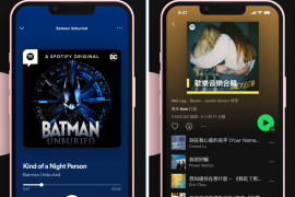 Spotify v9.0.24 iOS绿化版