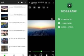 XPlayer v2.4.5 安卓绿化版