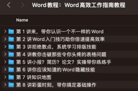 Word高效工作指南教程