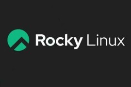 Rocky Linux 9.5 RHEL 100% 1:1 兼容免费发行版