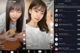 TikTok(抖音国际版) v38.9.3 安卓绿化多版本