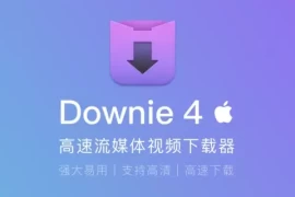 视频下载软件 Downie 4 for Mac v4.9.5 已激活开心版