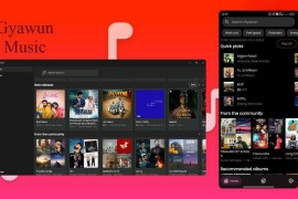 Gyawun Music - YouTube Music 第三方客户端