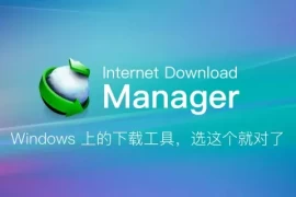 下载神器：Internet Download Manager 6.42.27 绿色特别版 (IDM)