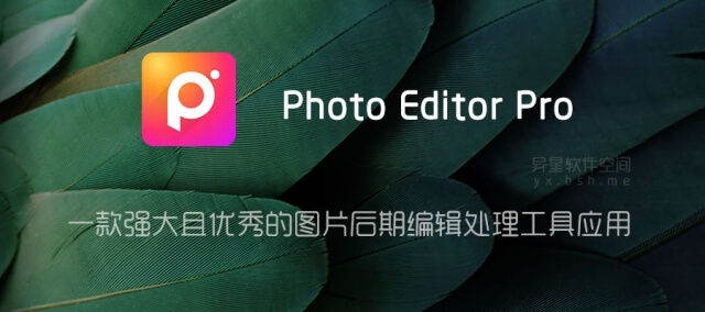 pogo7-640x284-1.jpg pogo7-640x284-1.jpg